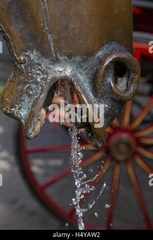 Testa di cavallo fontana potabile, Bruges, Belgio Foto Stock