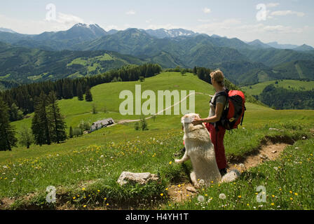 Giovane donna escursionismo con un cane, vista verso Gschwendtalm nelle Alpi calcaree National Park, Austria superiore, Austria, Europa Foto Stock