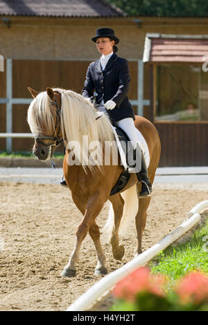 Dressage, anniversario della rurale piloti in Stadl Paura, Austria superiore, Austria, Europa Foto Stock