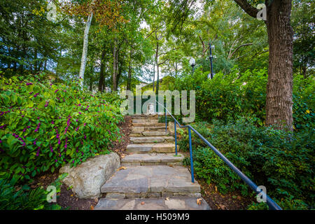 Giardino e scale presso il Parco delle Cascate sul Reedy, in Greenville, nella Carolina del Sud. Foto Stock