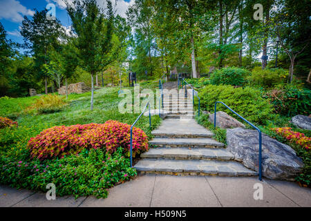 Giardino e scale presso il Parco delle Cascate sul Reedy, in Greenville, nella Carolina del Sud. Foto Stock