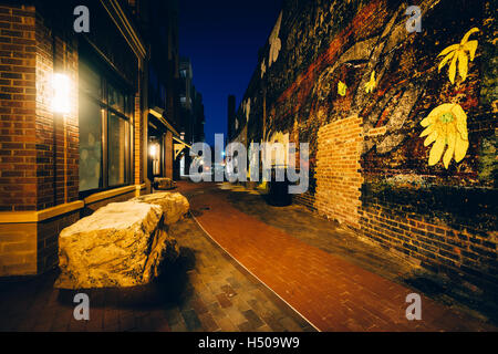 Stretto sentiero ed edifici in mattoni di notte, nel centro cittadino di Rock Hill, Carolina del Sud. Foto Stock