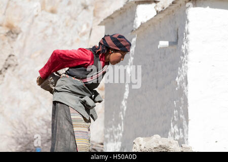 Giovane donna che trasportano grandi pietre per costruire una nuova casa, Old Lhatse, Tibet, Cina. Foto Stock