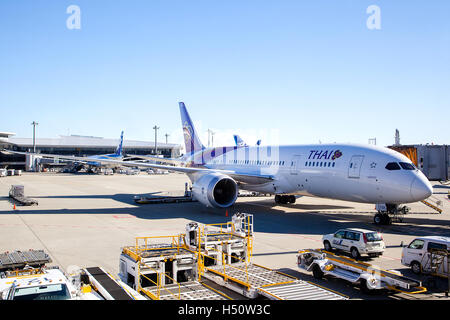 Tokyo, Giappone - 5 dicembre; 2014: un Thai Airways piano sottoposto a interventi di manutenzione sull'asfalto dell'aeroporto Narita di Tokyo. Foto Stock