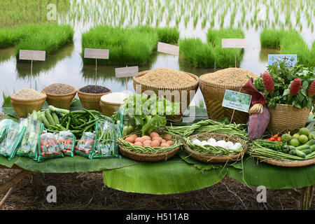 SINGBURI - THAILANDIA 18 : PRODOTTI AGRICOLI come riso, fagioli, cetrioli, pomodori, verdura e uova degli agricoltori a Bangrachan su ottobre 18, 2016 in Singburi, Thailandia. Foto Stock