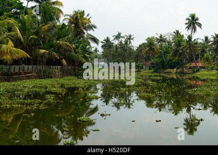 India, alberi di cocco e di riflessione beautifoull house boat sul retro acque del Kerala Foto Stock