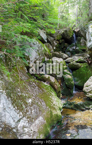 Fleming Flume sulla testa di elefante Brook in Carroll, New Hampshire durante i mesi estivi. Foto Stock