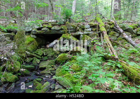 I resti di un ponte di pietra lungo una strada abbandonata off ciottoli sentiero in salita in Landaff, New Hampshire. Foto Stock