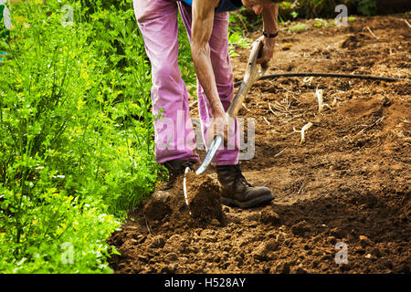 Una donna con una pala in un piccolo campo. Foto Stock