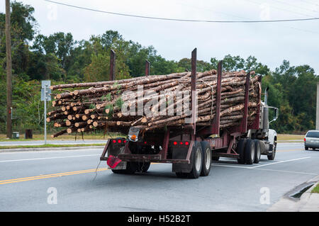 Pino log essendo mosso da carrelli di registrazione. Foto Stock