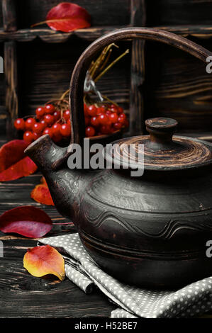 Elegante bollitore con tè medicinali da autunno bacche tè con pallon di maggio Foto Stock