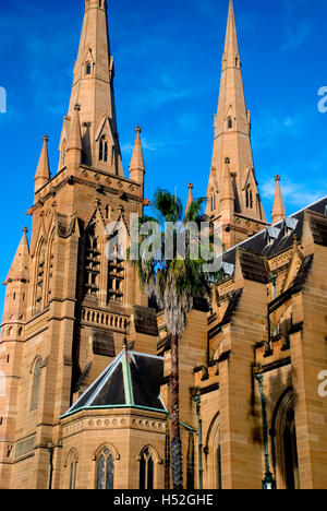 Australia, Sydney, la Cattedrale di Santa Maria Foto Stock