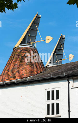 Camini conica sulla cima di un ex malteria mill, Ware Hertfordshire Foto Stock