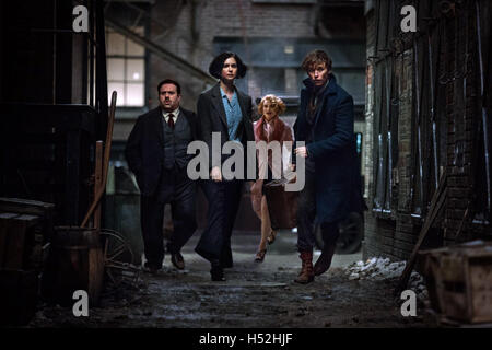 Fantastico bestie e dove trovarli è un imminente angloamericano fantasy film di fiction ispirata dal libro dello stesso nome da J. K. Rowling. Questa fotografia è per il solo uso editoriale ed è il copyright del film company e/o il fotografo assegnato dal film o società di produzione e può essere riprodotto solo da pubblicazioni in congiunzione con la promozione del film di cui sopra. Un credito per il film company è richiesto. Il fotografo deve anche essere accreditato quando noto. Foto Stock
