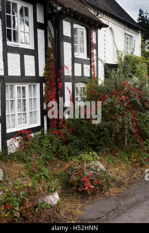 Regno Unito, Inghilterra, Cheshire, Bunbury, Bowe's Gate Road, piccolo giardino frontale di nero e di bianco cottage Foto Stock