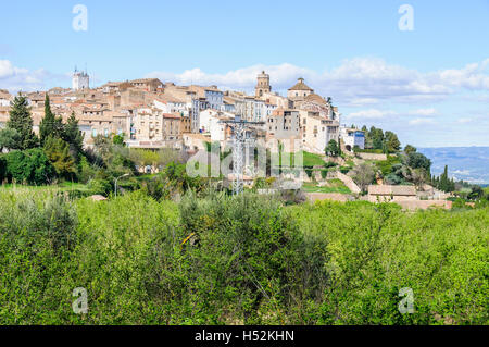 Vista del villaggio catalano di Tivissa in Spagna Foto Stock