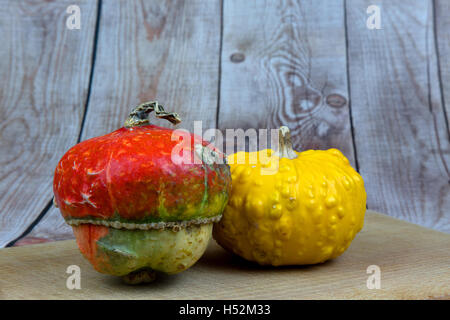 Due piccole zucche decorative, rosso e giallo su sfondo di desek in legno.Close, vista orizzontale. Foto Stock