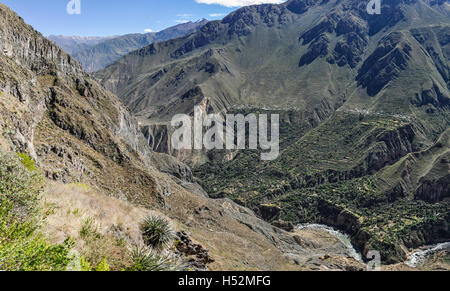 Vista panoramica dei più profondi Canyon del Colca in Perù Foto Stock