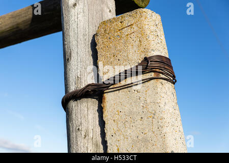 Montaggio su un supporto di linee di trasmissione Foto Stock