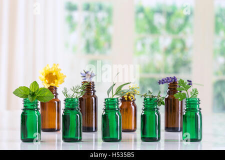 Bottiglia di olio essenziale selettivo con erbe e piante medicinali Foto Stock