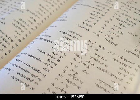 Un Samaritano libro di preghiera scritta in ebraico antico visualizzati al samaritano Museum di Kiryat Luza un Samaritano insediamento da Mount Grizim vicino alla città palestinese di Nablus nella West Bank Israele. Il museo racconta la storia del samaritano setta che fanno risalire le proprie radici del regno settentrionale di Israele in quello che ora è il nord della Cisgiordania. Foto Stock