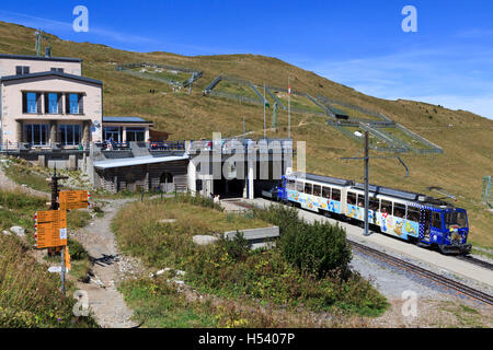 Cog Railway con il treno alla stazione di Rochers-de-Naye vicino alla cima della montagna, Svizzera, Europa Foto Stock