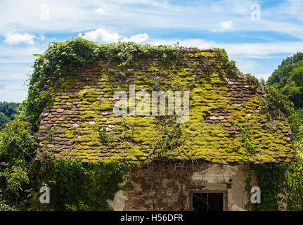 Abbandonato casa vecchia coperta con moss Foto Stock