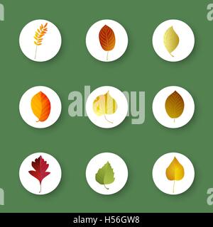 Set di autunno foglie colorate . Gli elementi del vettore . Illustrazione Vettoriale