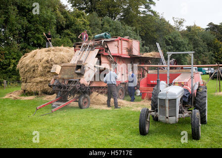 Gli agricoltori che lavorano la battitura a macchina Weald and Downland Open Air Museum, Campagna autunno mostra, Singleton, Sussex, Regno Unito Foto Stock