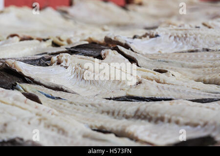 Merluzzo essiccazione su un rack al sole in un Terranova, Canada outport. Foto Stock