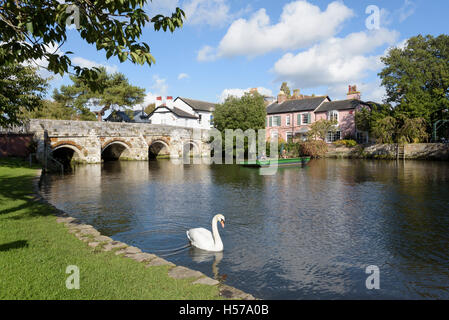 La pesca al di sotto del ponte della città sul fiume Avon, Christchurch, Dorset, Inghilterra, Regno Unito. Foto Stock