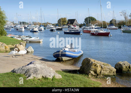 Sindaci Mead pubblico di uno scalo sul fiume Stour, Christchurch, Dorset, England, Regno Unito Foto Stock