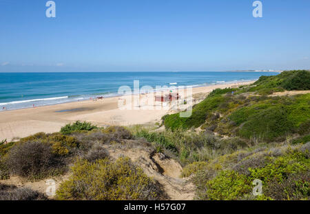 Dune e spiaggia di Playa de Los Lances, Costa de la Luz, Tarifa, Spagna Foto Stock