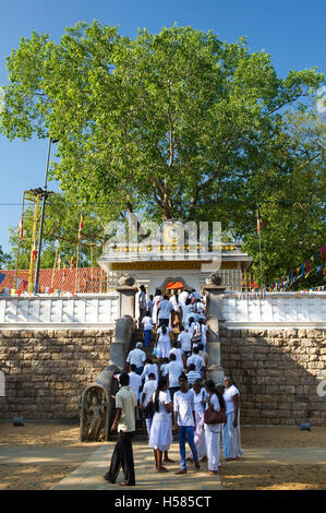 Le persone che entrano nel sito della Bodhi albero piantato in 249 BC, Jaya Sri Maha Bodhi, Mahamewna giardini, Anuradhapura, Sri Lanka Foto Stock