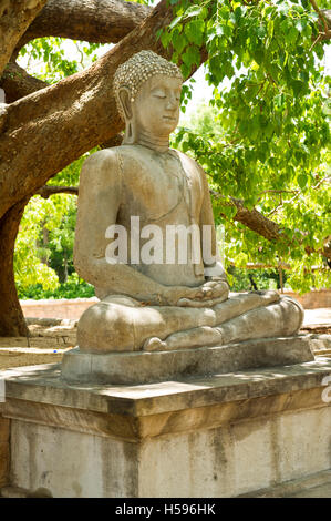 Statua di Buddha a Abhayagiri Dagoba, Anuradhapura, Sri Lanka Foto Stock