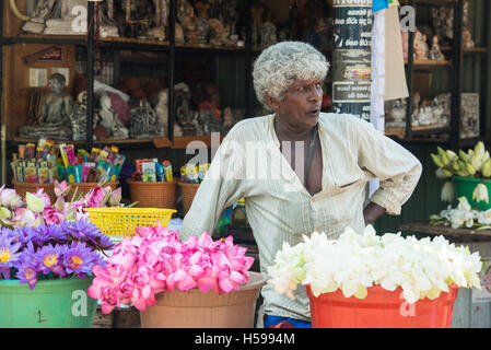 Uomo che vendono fiori per le offerte nella sacra città del patrimonio mondiale Anuradhapura, Sri Lanka Foto Stock