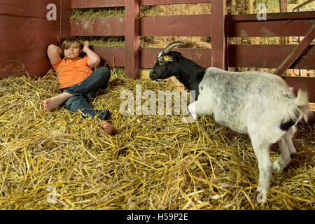 Ragazzo giovane reclino nel capannone di paglia, fattoria per bambini Kirchdorf, Amburgo, Germania Foto Stock