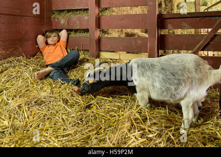 Ragazzo giovane reclino nel capannone di paglia, fattoria per bambini Kirchdorf, Amburgo, Germania Foto Stock