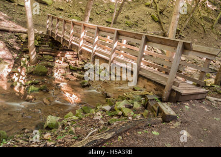 Sun pezzata appoggiata passerella in legno nei boschi. Foto Stock