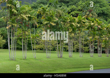 Ho'omaluhia Giardini Botanici su Oahu Island, Hawaii Foto Stock