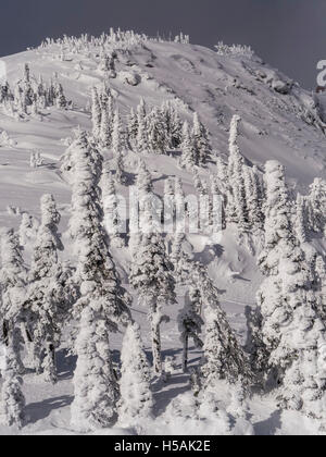 Guardando verso l'alto la rupe dalla parte superiore del Bullet Express seggiovia, Big White Ski Resort, British Columbia, Canada. Foto Stock