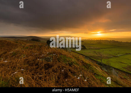 La mattina presto vista guardando attraverso per abbassare Wharfedale da Halton Moor nel Yorkshire Dales National Park, England Regno Unito Foto Stock