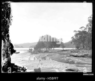 Un paesaggio fluviale, probabilmente dal fiume Hawkesbury nel nuovo Galles del Sud, Australia, preso tra il 1880 e il 1909, mostra la bellezza panoramica della regione. La fotografia cattura l'ambiente naturale del fiume durante la fine del XIX e l'inizio del XX secolo. Foto Stock