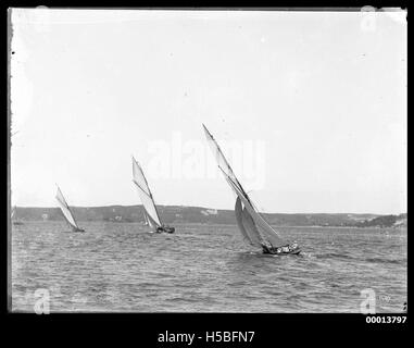 Tre yachts racing sul Porto di Sydney Foto Stock