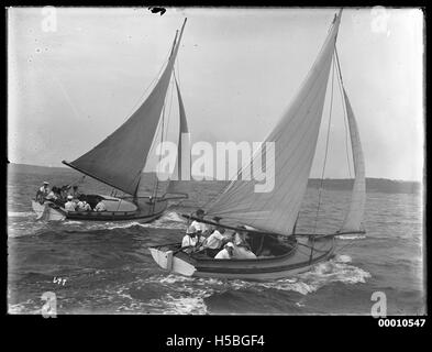 Una vista di diversi yacht sul porto di Sydney, evidenziando la popolarità della navigazione nel porto. La scena cattura la bellezza dell'acqua del porto, delle navi e dei monumenti circostanti, tra cui la Sydney Opera House e l'Harbour Bridge. Foto Stock