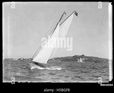 Sloops sul Porto di Sydney Foto Stock