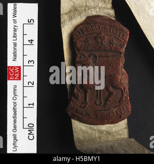 Una fotografia del castello di Chirk, che presenta l'imponente struttura del castello e i suoi dintorni panoramici. L'immagine cattura l'architettura storica e il paesaggio di questo iconico castello gallese. Foto Stock