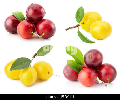 Raccolta di ciliegia prugne isolato su uno sfondo bianco. Foto Stock
