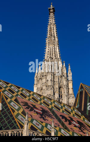 La mattina presto il sole sulla Cattedrale di Santo Stefano (Stephansdom) di Vienna in Austria. Foto Stock