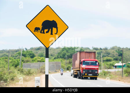 Cartello di avvertimento della scheda per gli elefanti, Sri Lanka Foto Stock